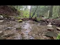Tranquil Stream Sounds - A Peaceful Escape in Nature