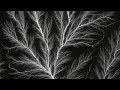 Demdike Stare - Hashshashin Chant