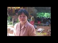 Download Lagu Kaboro'ku - Lagu