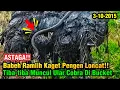 Download Lagu ASTAGA ‼️Babeh Ramlih Kaget Pengen Loncat \u0026 Salto, Tiba-tiba Muncul Ular Cobra Di Bucket