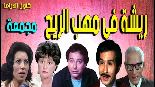 المسلسل النادر ريشة فى مهب الريح مجمعة صلاح السعدنى عبدالرحمن ابوزهرة رجاء حسين معالى زايد 