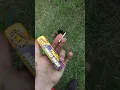 Smoking ground hogs