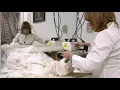 Alterations Thousand Oaks l Alterations Simi Valley l Agoura Hills Calabasas Hidden Valley Malibu