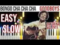 Lagu Bongo Cha Cha Cha - Goodboys - Caterina Valente - EASY SLOW Piano Tutorial 🎹 - video 4K🤙