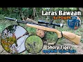 Download Lagu Tess hunting unit baru langsung gacorrr‼️ Berburu tekukur