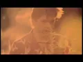Sparklehorse - Sunshine (Official Video)