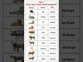 Animals Pregnancy Period Comparison How Long is each animal pregnant Part 1