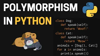 Polymorphism in Python One Method Many Forms
