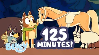 Bluey et Chilli partent à l'aventure! 💙😄🐴 | Bluey Français Chaîne Officielle