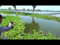 Download Lagu Gila banget..! Ternyata masih banyak ikan mas disungai ini, Bener² ini rezeki saya mancing kesini