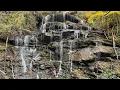 Yellow Branch Falls - Hike Guide