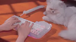 Cat-Shape Design Epomaker Mini Cat 64 DIY Kit