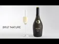 Download Lagu Viña Eden Brut Nature Sparkling Wine