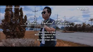 ENDA NIKAL PULAI - Dicky J Ding (cover version)