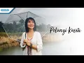 Download Lagu Pelangi Kasih - Herlin Pirena (Video)