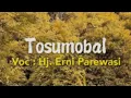 Download Lagu Sampai menangis mendengarnya, Tosumombal - Hj. Erni Parewasi