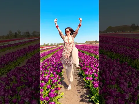 This Jutland Di chidi almost flew away at the end of the video 🤭🕊️🌷 #jhoomer #chidibilauri