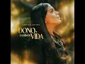 Dono da Minha Vida - Larissa Santos
