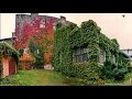 Boston Bun - Missing You