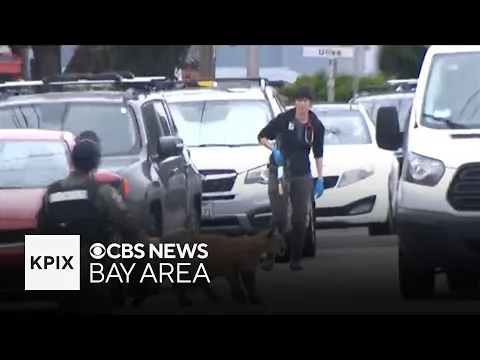 Mountain lion sprints away in San Francisco Outer Sunset neighborhood before being captured