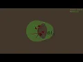 Log Mean Temperature Difference LMTD method for Heat Exchanger 3D animation