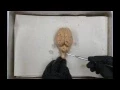 Sheep Brain Demonstration
