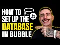 HOW TO SET UP THE DATABASE IN BUBBLE STEP-BY-STEP GUIDE 2026