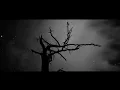 Download Lagu Najash - Pugna Eterna (Lyric video)