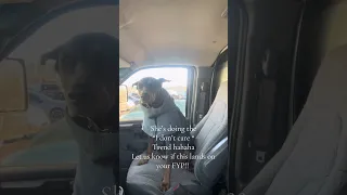 She’s doing the “ I don’t care trend “ apparently lol #fyp #dream #vlog #doberman #pets