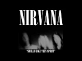 Download Lagu Nirvana - Smells Like Teen Spirit (Alternate Reality Mix)