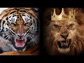 Download Lagu Kenapa Bukan Harimau yang Jadi Raja Hutan⁉️