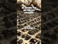 Download Lagu The Shocking 1906 San Francisco Earthquake