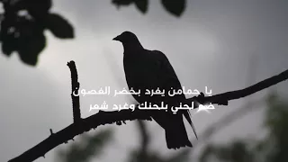 شيله حزينه جدا هزاع المهلكي شيلة قصتي 