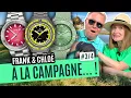 Download Lagu 7 montres d'été à tous les prix, la saga continue !