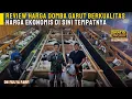 Download Lagu Domba Garut Murah Berkualitas Harga Merakyat | DN MULYA FARM