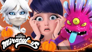 🎃Cadılar Bayramı Derlemesi 2026 👻🦋 | Uğur Böceği ile Kara Kedi