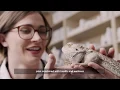 Practice Medicine Your Way Petco Veterinary Partners
