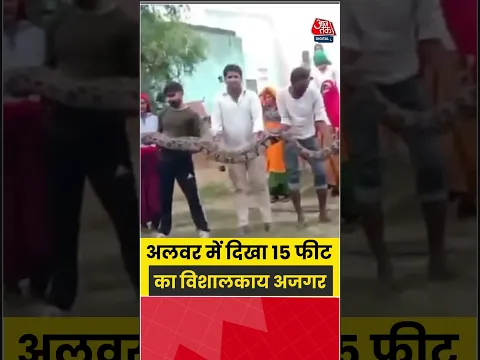 Alwar News: अलवर में दिखा 15 फीट का विशालकाय अजगर #viralvideo #shorts #alwar #aajtak