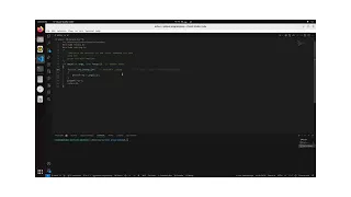 System programming Implementing echo command using C langauge