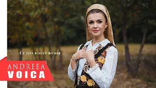 Andreea Voica - Ce Tini Bagita Bicher