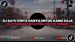 Download DJ SATU CINTA HANYA UNTUK KAMU SAJA || DJ HITUNGAN CINTA VIRAL || @FebryRemix MP3