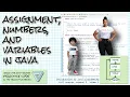 Variables numeric types and assignment in Java Intro to Java full course Lesson 2 2