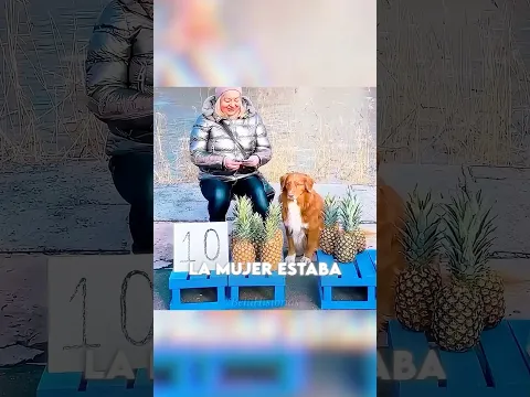 Perro heroe vendedor de piñas 😳 #shorts