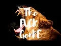 Download Lagu Jungle Terror Mix | The FVCK GENRE Mix | Jungle Terror Hardstyle Trap