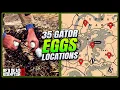 RDR2 Gator Eggs Locations - FAST EASY Guide Duchesses Other Animals Guide