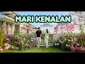 Download Lagu Mari Kenalan #song #musik #lagu #songs #lovesong #dancemusic #lovesongs #music #musicvideo #cover 