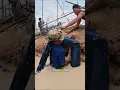 Download Lagu They Caught a Giant Snake In The Water #fishing