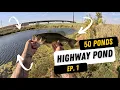 Download Lagu Memancing di Kolam Jalan Raya! | Seri 50 Kolam Ep. 1