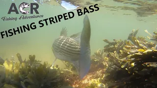 Fishing for Striped Bass Indian Head Light House PEI – ACR Fishing Adventures