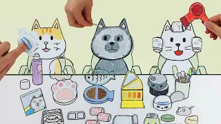 😺💄고양이 뷰티살롱 :: 셀프어쿠스틱